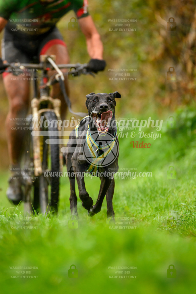 MompixPhotography_20TSB_E8_Bike-7 | PayLife