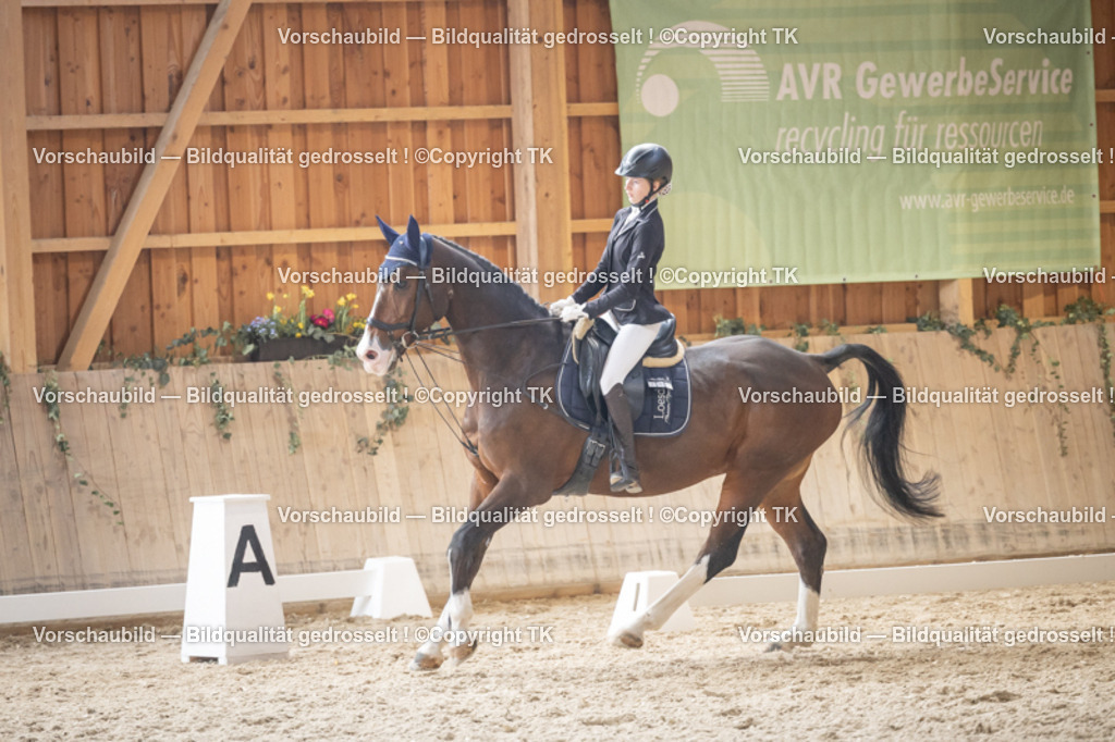 _D5A5634 | Emotionale Pferde- & People-Fotografie rund um Heidelberg, Leimen & Umgebung. Natürliche Fotos von Pferd, Mensch & Familie. Jetzt Termin sichern!