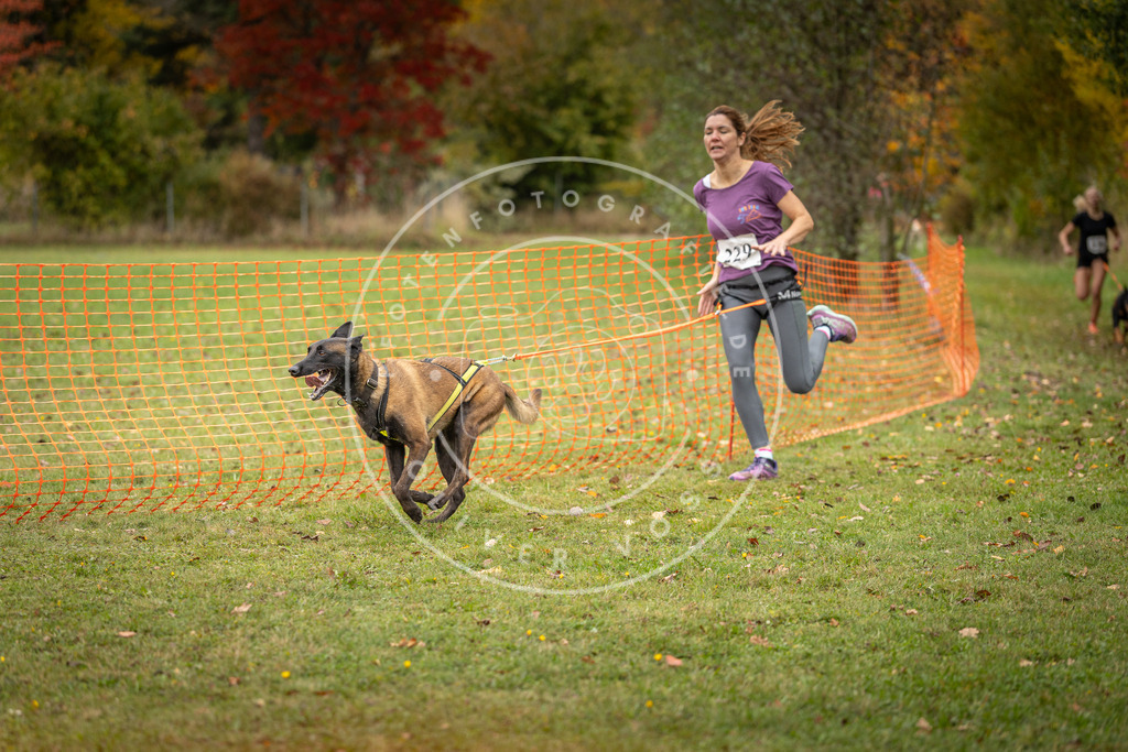 Pfotenfotografie_DV3A4540 | Hundefotografie, Tierfotograf, Pfotenfotografie, Fotoshooting Hund, Hunde Portrait, Hundesport, Hundeportraits, Heideshooting, Hunde, Sportfotograf, Hundefotograf, Turnierhundsport, THS,  - Realisiert mit Pictrs.com