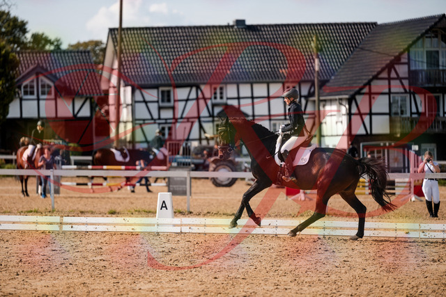 2026_10_03_Siefer-Hof_133656_Z63_98754193 | Professionelle Reitsport-, Turnier- und Eventfotografie von Robert Broda. Galerien mit ausgewählten und bearbeiteten Bildern direkt online ansehen und bestellen.