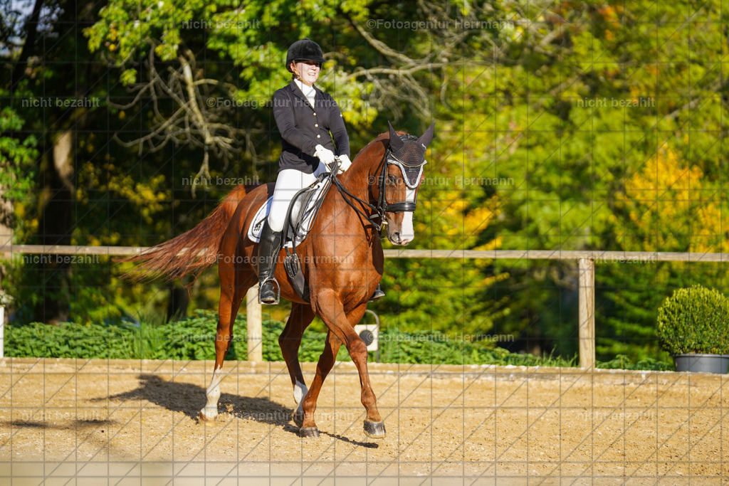 20221007-FAH00240 | Diessen am Ammersee, 2022, Dressur- und Springturnier, Reitsportbilder, Turnierfotografen Bayern, Pferdefotografen, Fotoagentur Herrmann, Turnierbilder
