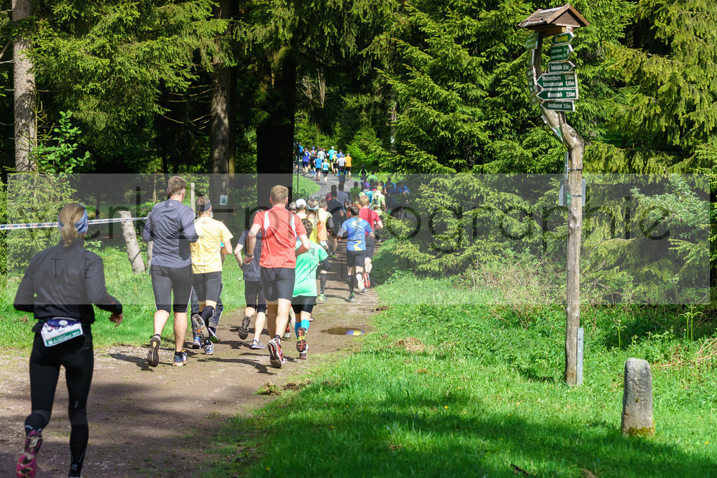 Rennsteiglauf 2017 | Neuhaus/Rwg. - Schmiedefeld am 19. Mai 2017