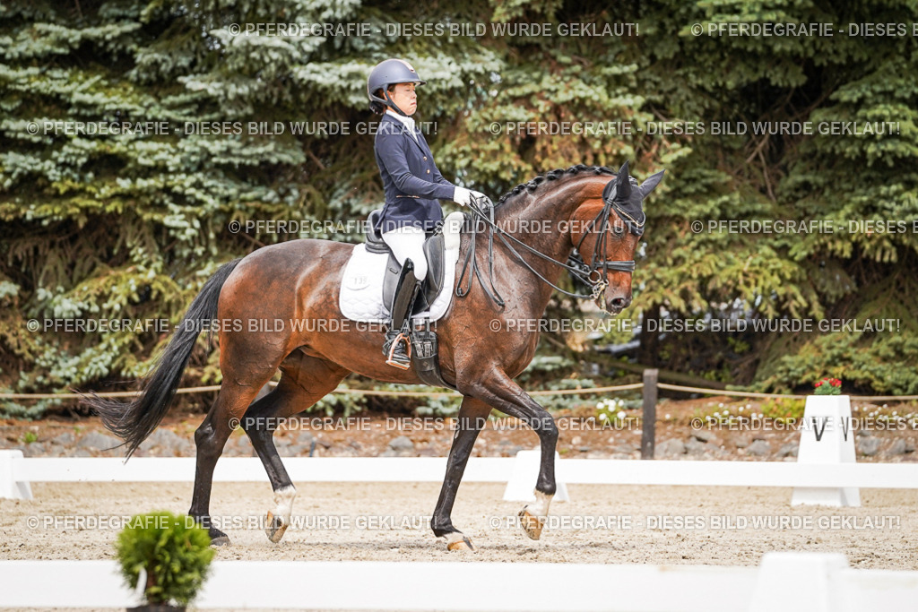 DSC05624 | Pferdegrafie