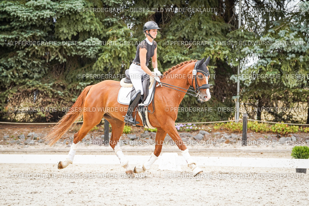 DSC08155 | Pferdegrafie