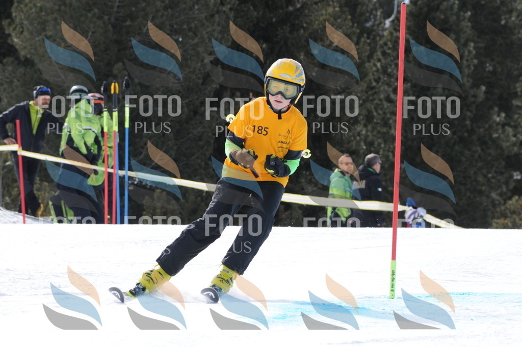 C7460 | holidayphoto