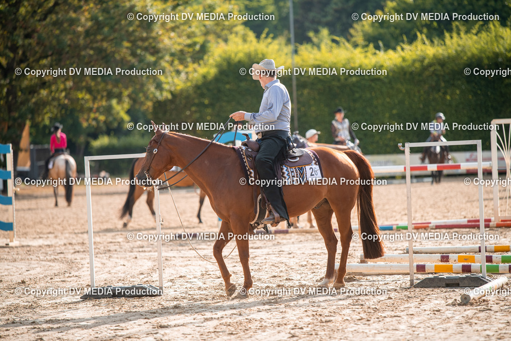 ZS3_9088 | dv-media-shop - Realisiert mit Pictrs.com