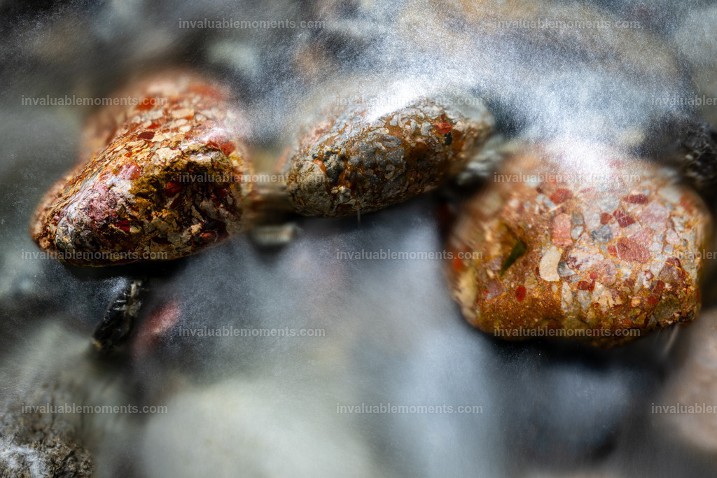 DJ0_1155 | invaluablemoments.com - Realisiert mit Pictrs.com