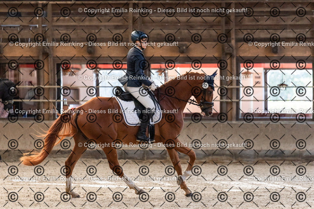 CL5A0242 | Emilia Reinking Fotografie - Realisiert mit Pictrs.com