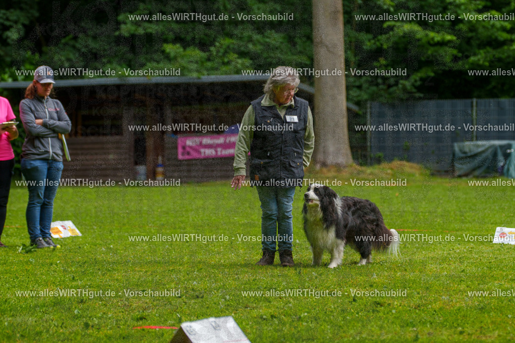 @allesWIRTHgut_Tierfotografie - www.allesWIRTHgut.de - 7R502683 | Professionelle Tierfotografie in Mönchengladbach von Daniel Wirth (allesWIRTHgut). Liebevolle & natürliche Bilder von Hunden & Katzen für unvergessliche Erinnerungen.
