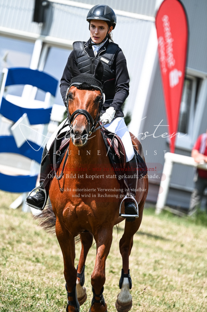 DSC_8842 | Pferde- und Turnierfotografie in Westsachsen. Pferdeportraits, Auftragszeichnungen und intuitive Kunst.