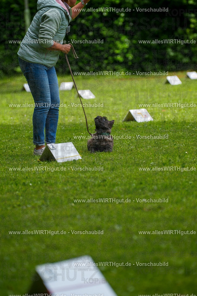 @allesWIRTHgut_Tierfotografie - www.allesWIRTHgut.de - 7R504423 | Professionelle Tierfotografie in Mönchengladbach von Daniel Wirth (allesWIRTHgut). Liebevolle & natürliche Bilder von Hunden & Katzen für unvergessliche Erinnerungen.