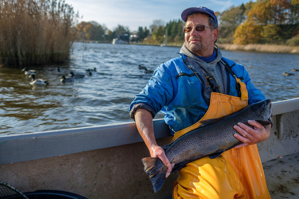 zeitenwende-farbe-03-13 | Matthias Nanz aus Schleswig ist einer der letzten Berufsfischer an der Schlei. Mit seinem Boot fährt Matthias Nanz vom Liegeplatz in Missunde zu den Fanggründen in der Schlei. Der Herbst ist die Zeit, in der wie hier im November Raubfische, Heringe und Flundern gefangen werden. Manchmal gehen auch Meerforellen ins Netz. Diese große Meerforelle hatte allerdings schon ihr Laichkleid angelegt und wurde nach dem kurzen "Fototermin" schonend zurückgesetzt. - Realisiert mit Pictrs.com