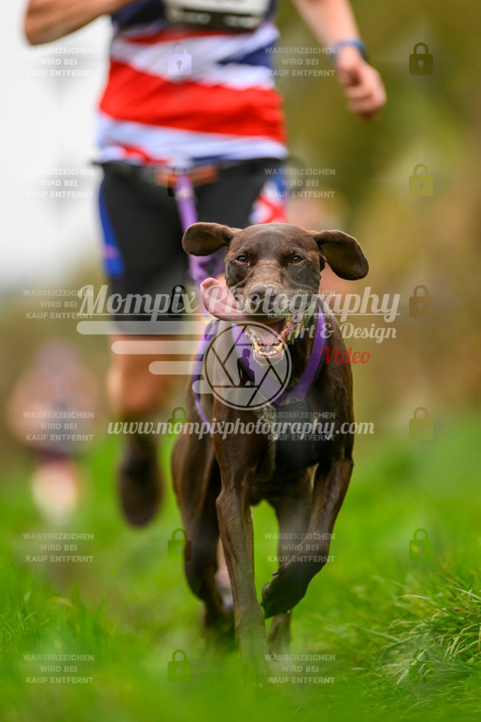 MompixPhotography_20TSB_E8_Run-49 | PayLife
