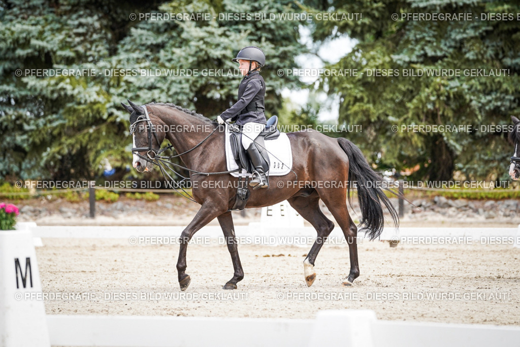 DSC02832 | Pferdegrafie