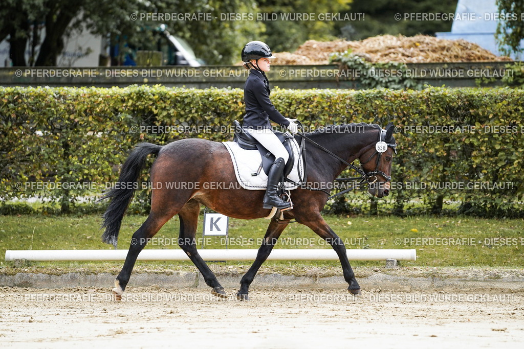 DSC05277 | Pferdegrafie