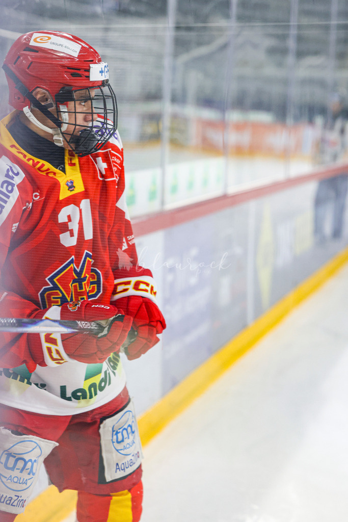 701A3296 | Sportbilder, Sportfotograf, Hochzeits- und Eventfotografin, Flugshows, Portraits und Tiershooting, Aviation, Downhill, Nationalleague, Swissleague, International