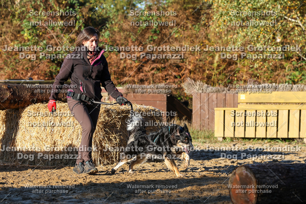 Dog Paparazzi - Strongdog 10-25-1013 | Dog Paparazzi Jeanette Grottendiek Fotografie & Videografie - Realisiert mit Pictrs.com