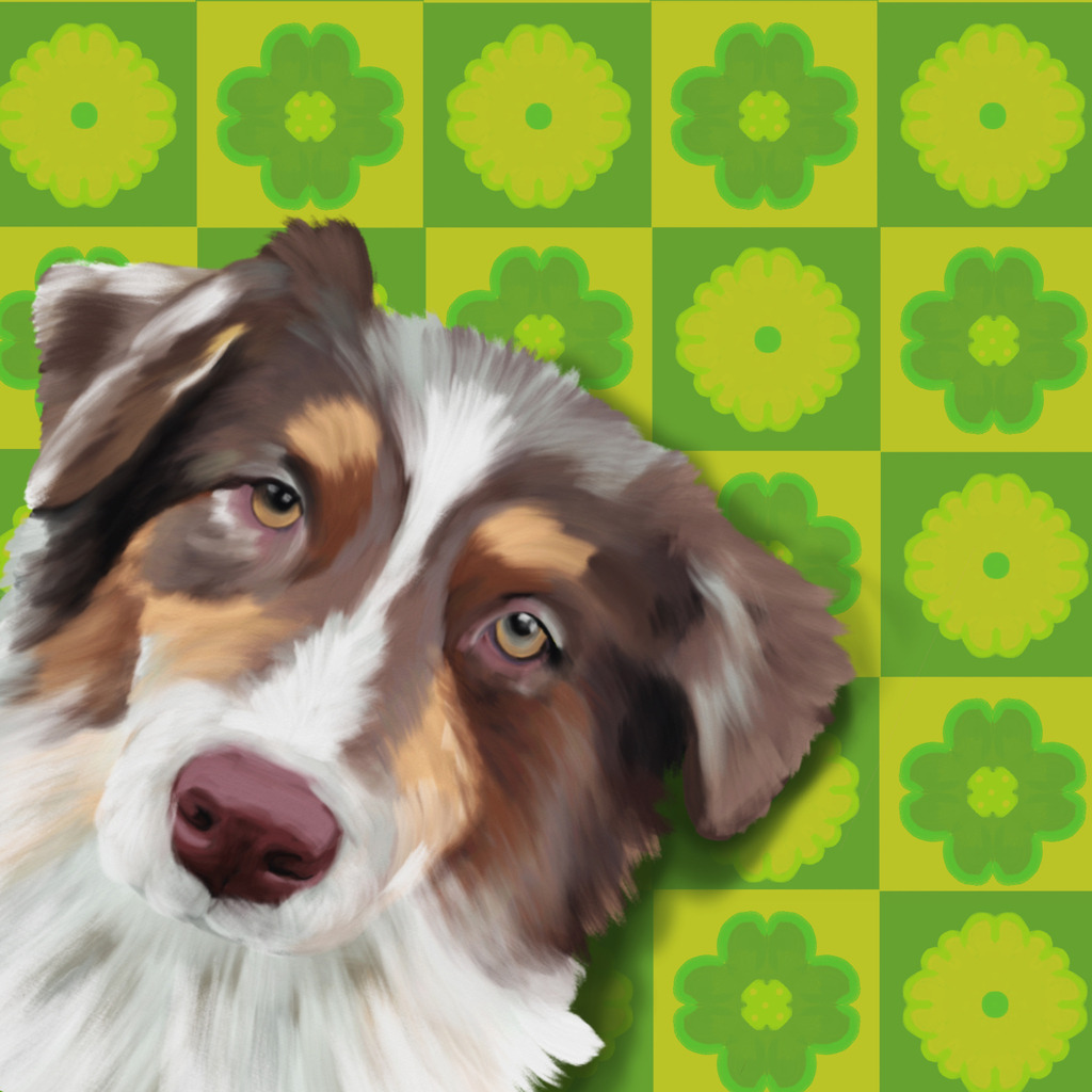 Australian_Shepherd | Illustrationen, digitalpainting, animals, dogs, hunde, art, Kunst, Illustrationsart, Bielefeld, Germany - Realisiert mit Pictrs.com