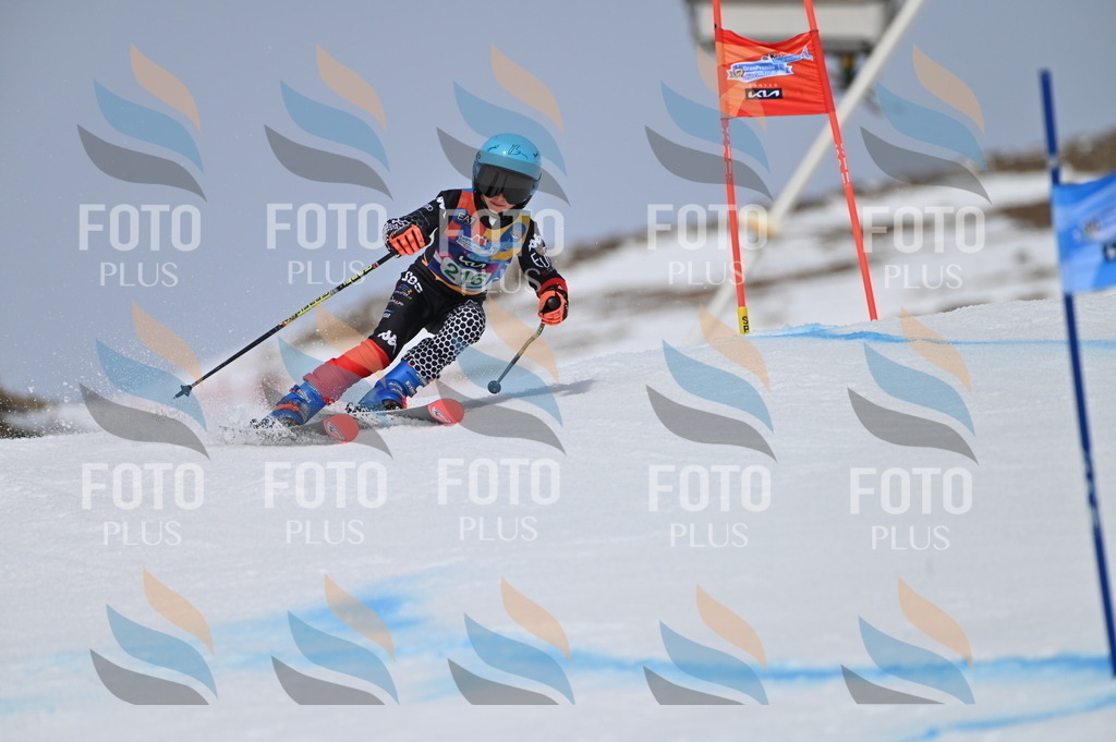 BGV_4197 | holidayphoto