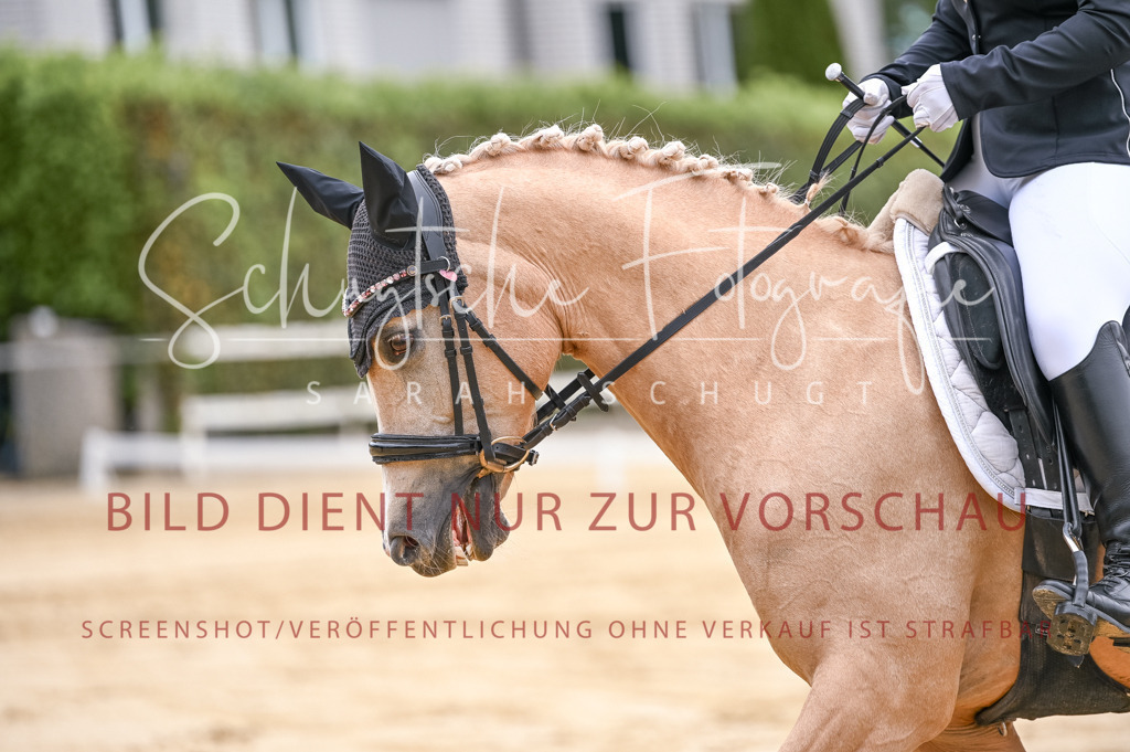 Schugtsche-Aluta25-42.EDressur -52 | Schugtsche Fotografie - Realisiert mit Pictrs.com