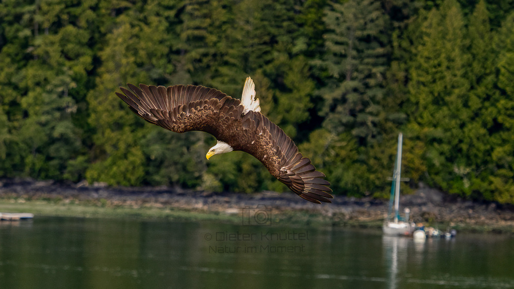 P1628283-Bearbeitet-2023-2-LR | Natur im Moment - Realisiert mit Pictrs.com