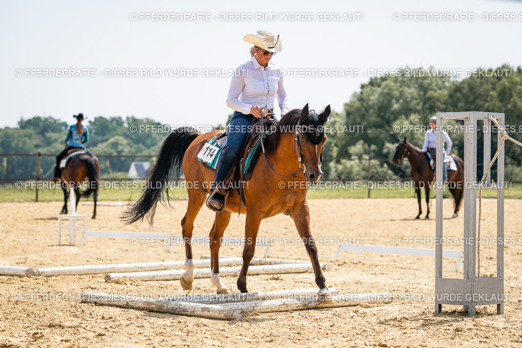 DSC00486 | Pferdegrafie