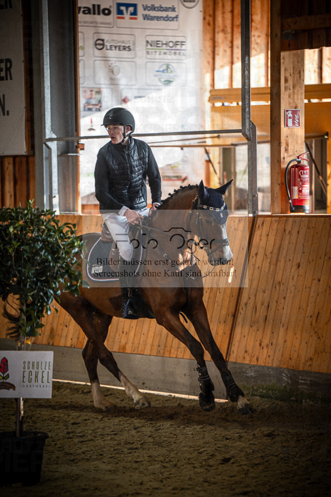 DOS_1311 | Entdecke hochwertige Reitturnierfotos von Foto Oger. Professionell, emotional und authentisch – jetzt Lieblingsmomente im Shop bestellen.Deutschlandweite Turnierfotografie. - Realisiert mit Pictrs.com