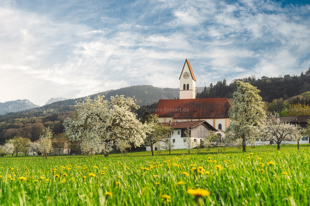Kirche Maria Morgenstern bei Apfelblüte | Kirche Maria Morgenstern bei Apfelblüte - Realisiert mit Pictrs.com