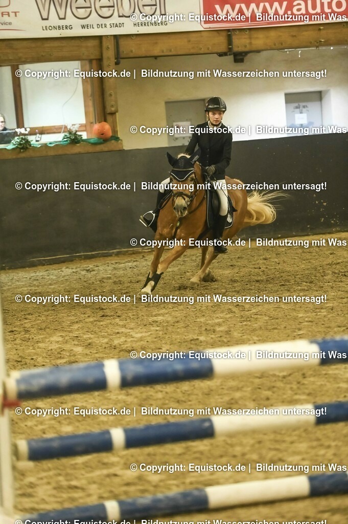 20231029_08_Stilspring-WB-75cm_0032 | Foto: Thomas Hartig