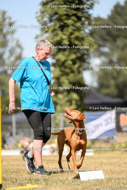 _DSC6350 | levihelfersfotografie