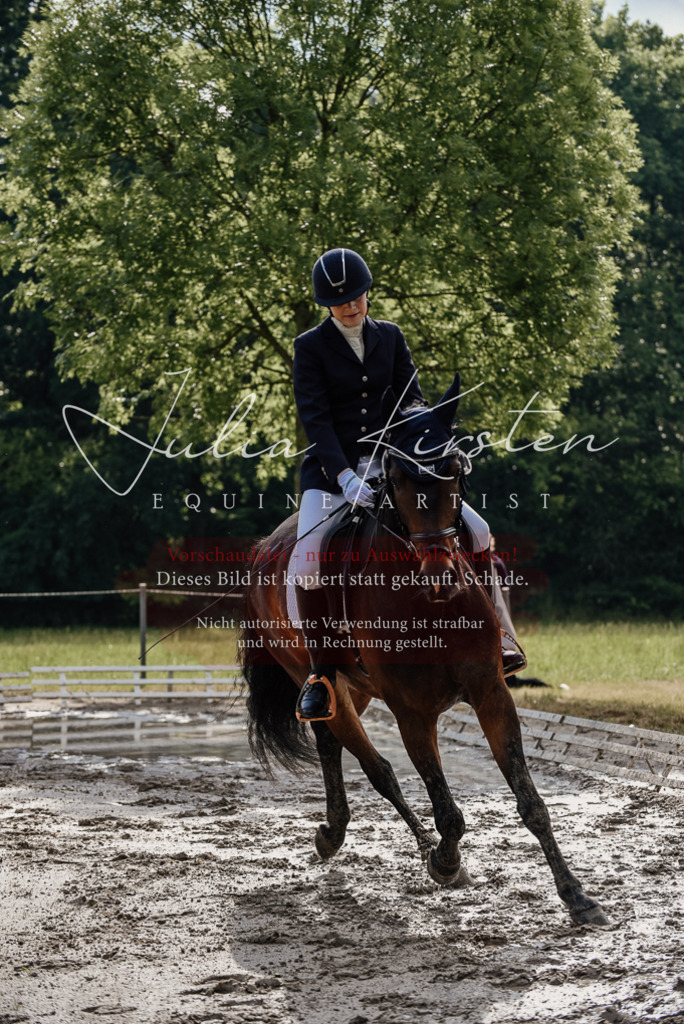 DSC_8725 | Pferde- und Turnierfotografie in Westsachsen. Pferdeportraits, Auftragszeichnungen und intuitive Kunst.