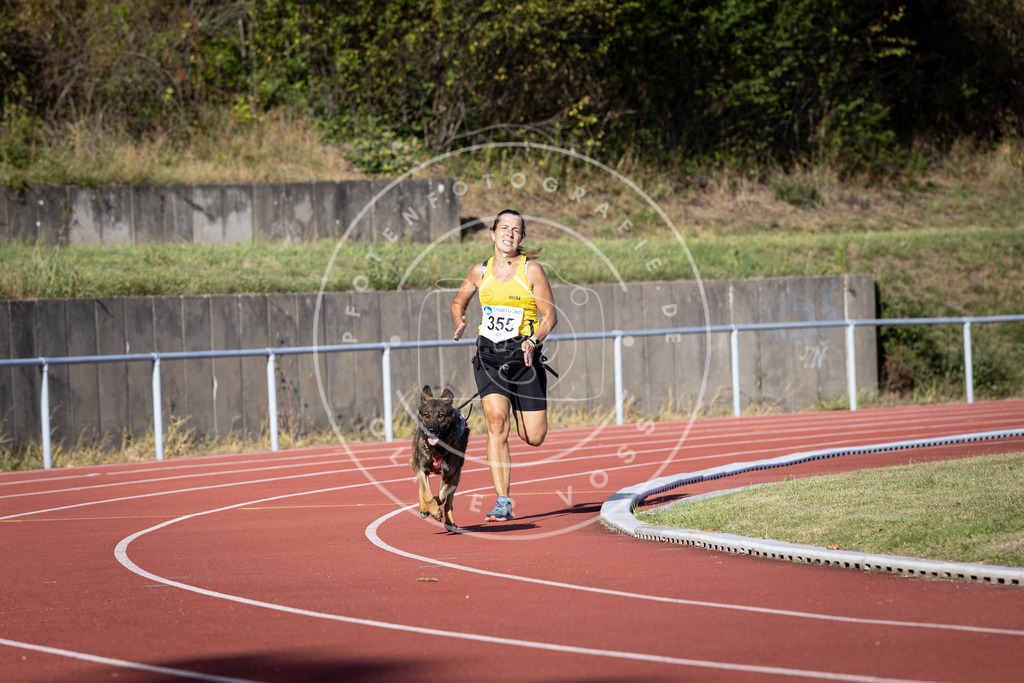 Pfotenfotografie_DV3A9753 | Hundefotografie, Tierfotograf, Pfotenfotografie, Fotoshooting Hund, Hunde Portrait, Hundesport, Hundeportraits, Heideshooting, Hunde, Sportfotograf, Hundefotograf, Turnierhundsport, THS,  - Realisiert mit Pictrs.com
