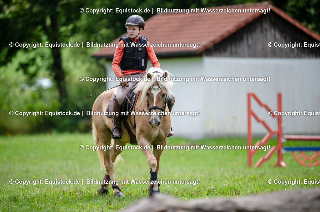 20250725_Vielseitigkeitslehrgang-Marbach_0331 | Foto: Thomas Hartig