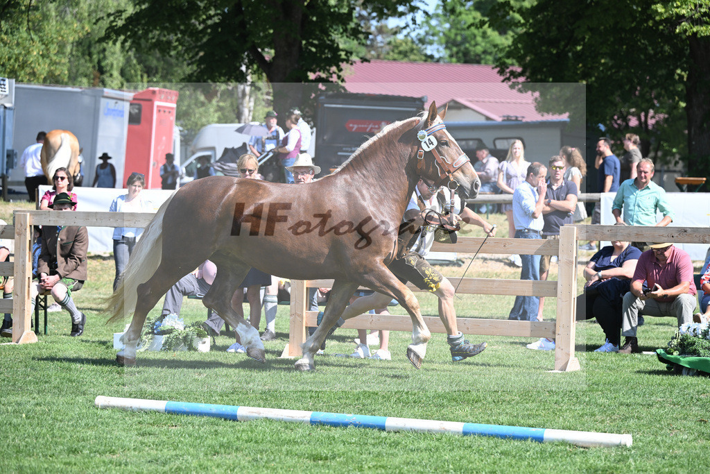 Kat-Nr. 14 Rica_Wallner_20230216 | hf-fotografie - Realisiert mit Pictrs.com