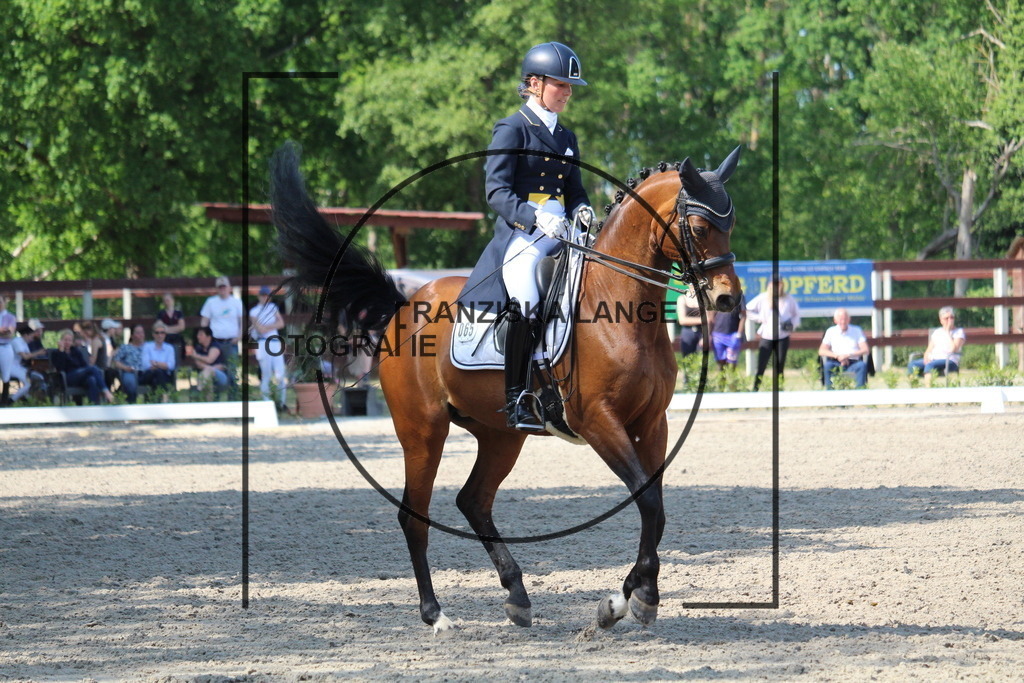 IMG_5281 | franziskalange - Realisiert mit Pictrs.com