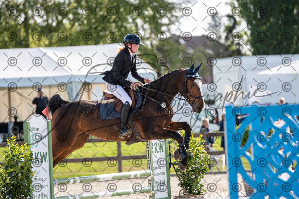 KPT_4491 | andre_photographic