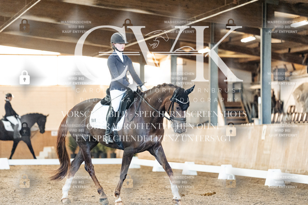 CK906814 | Turnierfotografie Pferdefotografie Trier Rheinland-Pfalz Pferdesport Reitsport Tierfotografie Sportfotografie Pferdevideo Pferdevideografie Equestrianvideography equestrianphotography  - Realisiert mit Pictrs.com