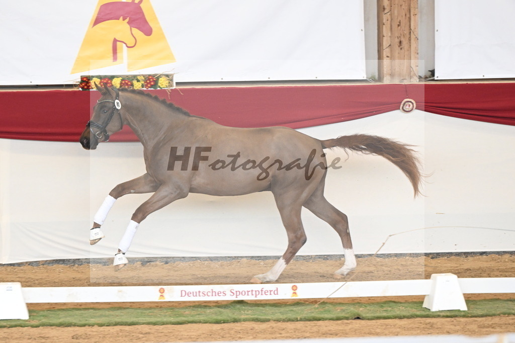 Kat.-Nr. 80 v. Va Bene_Klakow_3261258 | hf-fotografie - Realisiert mit Pictrs.com