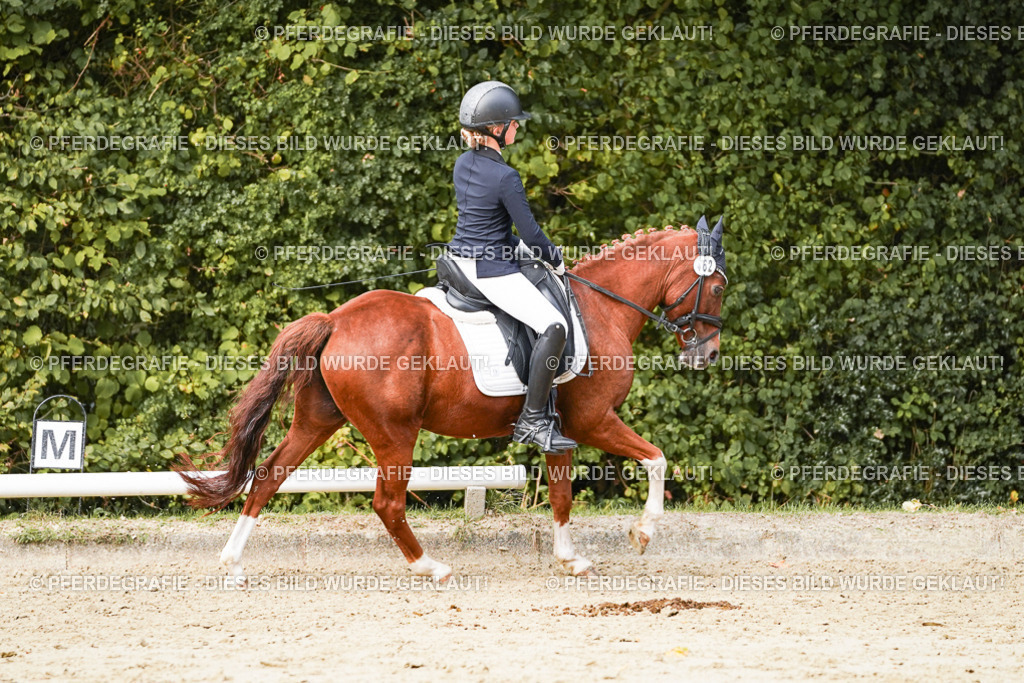 DSC03869 | Pferdegrafie