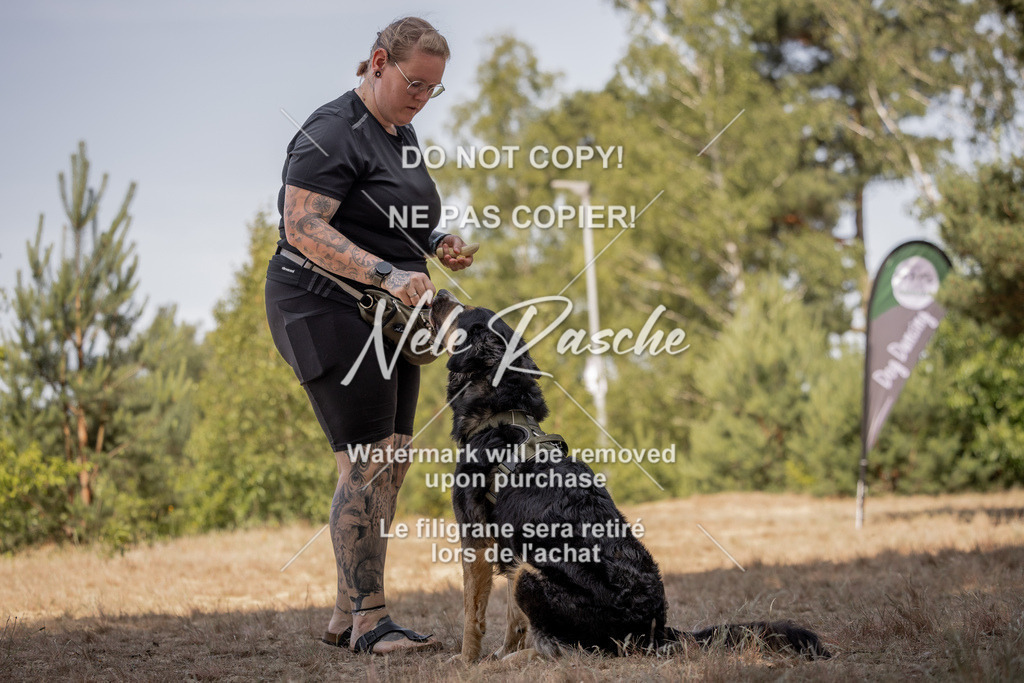 nelerasche_soDD2_248 | nelerasche