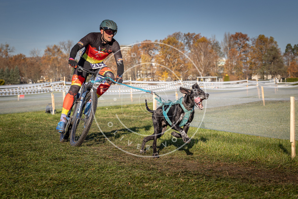 CaniXpix_0L8A4621 | Hundefotografie, Tierfotograf, Pfotenfotografie, Fotoshooting Hund, Hunde Portrait, Hundesport, Hundeportraits, Heideshooting, Hunde, Sportfotograf, Hundefotograf, Turnierhundsport, THS,  - Realisiert mit Pictrs.com