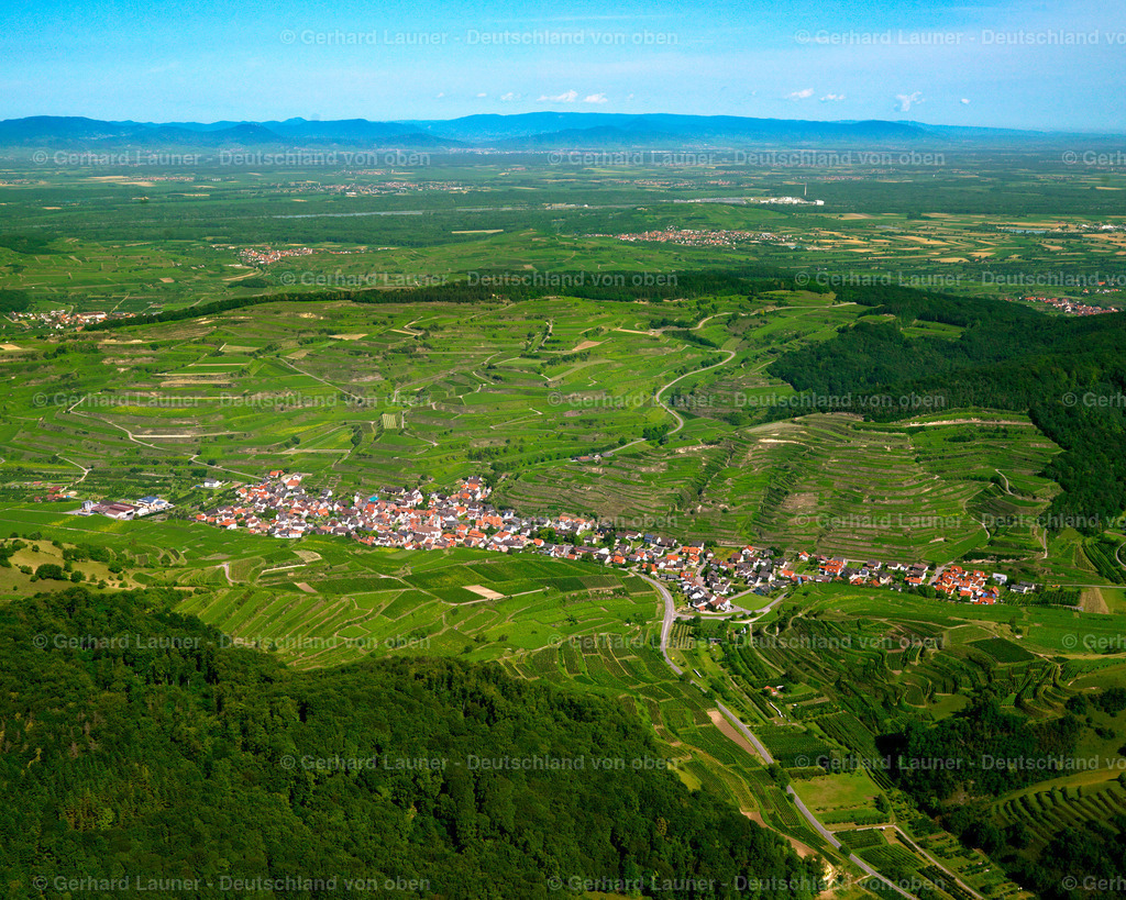 2700101 | Blick über Oberbergen am  Kaiserstuhl in Richtung Vogesen