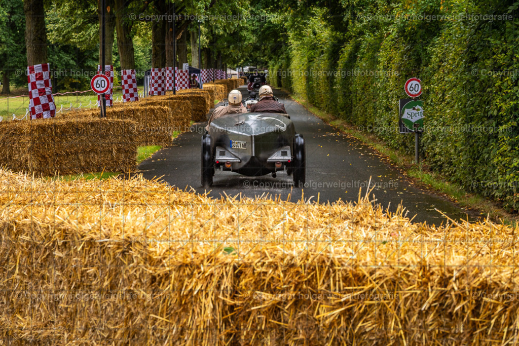 20250802140122D75_4710 | Classic Days Rittergut Birkhof 2025 - Realisiert mit Pictrs.com
