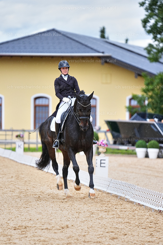 8_1-118-Klasse S_  -Marixx-4234 | working equitationturnier fotograf videograf stoibphotography marixx film working equitation deutschland reitsport turnierfotografie eventfotografie equestrian events