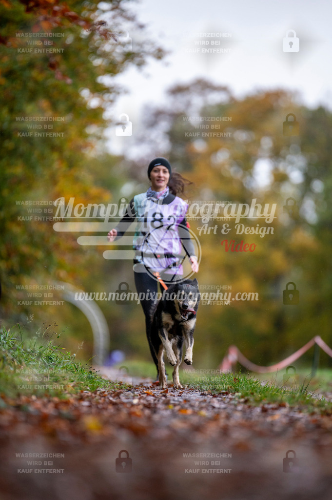DBT_DAKM_SA_4_11_2023_Canicross-19 | PayLife