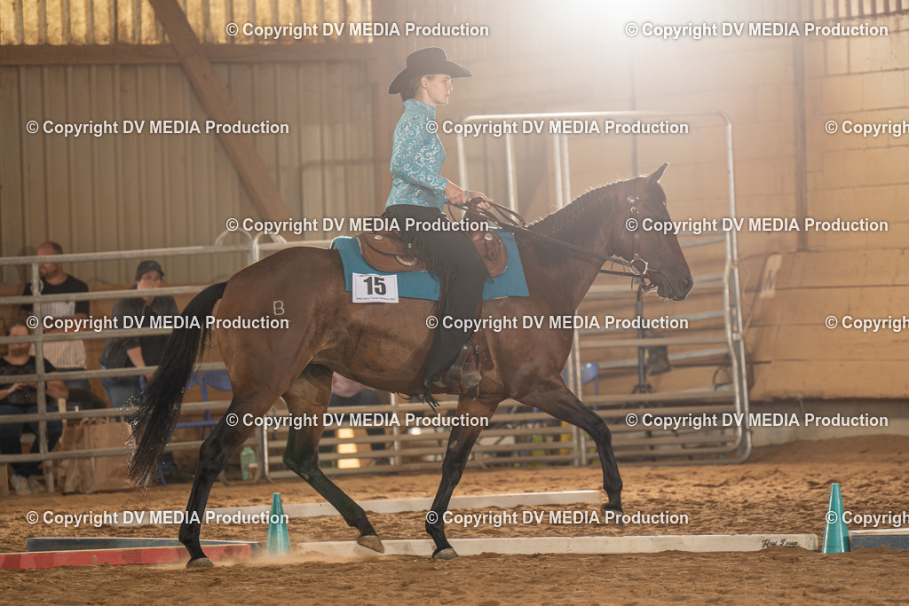 NID02686 | dv-media-shop - Realisiert mit Pictrs.com