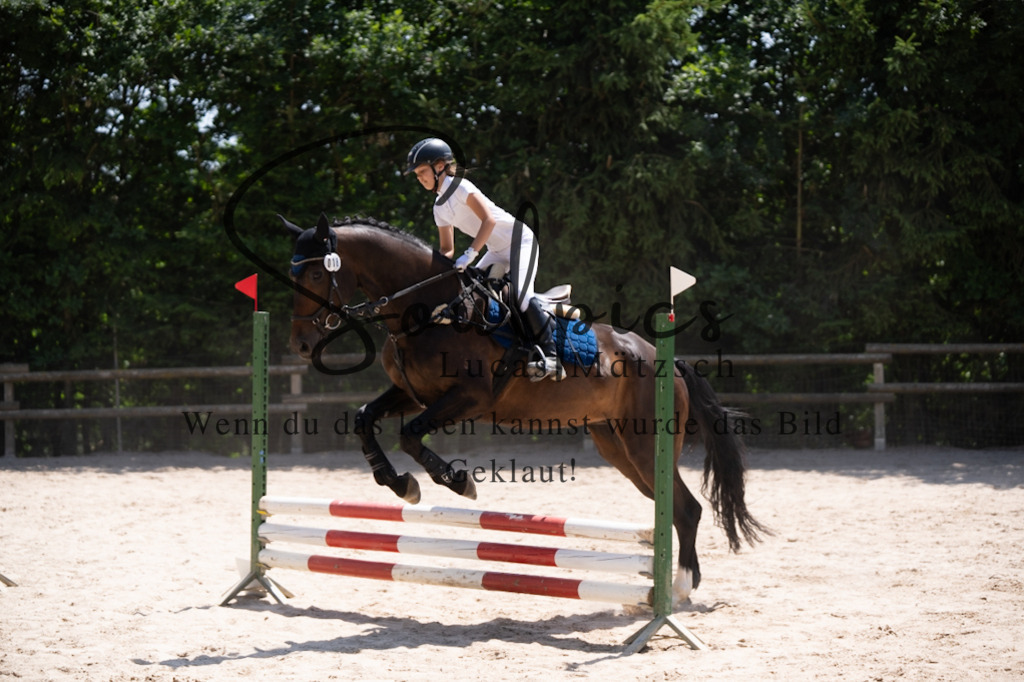 A7V08315 | Pferdefotograf