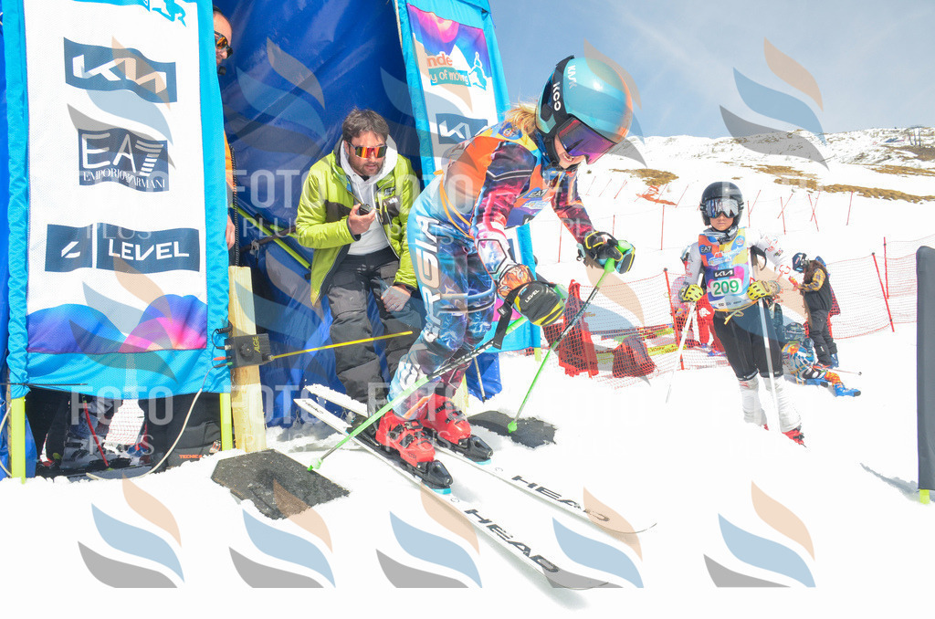 _ELE6833 | holidayphoto