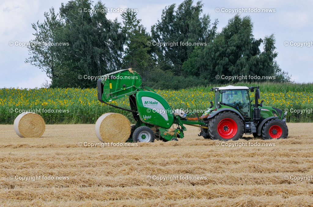 Landwirtschaft_ Feldarbeit_ 25.07.2024-4 | 25.07.2024, Linz, AUT, Feldarbeit, im Bild Maehdrescher, Ernte, Landmaschine, Feldarbeit, Getreide, Bauer, Landwirt, Landwirtschaft, Feld, Traktor, Stroh