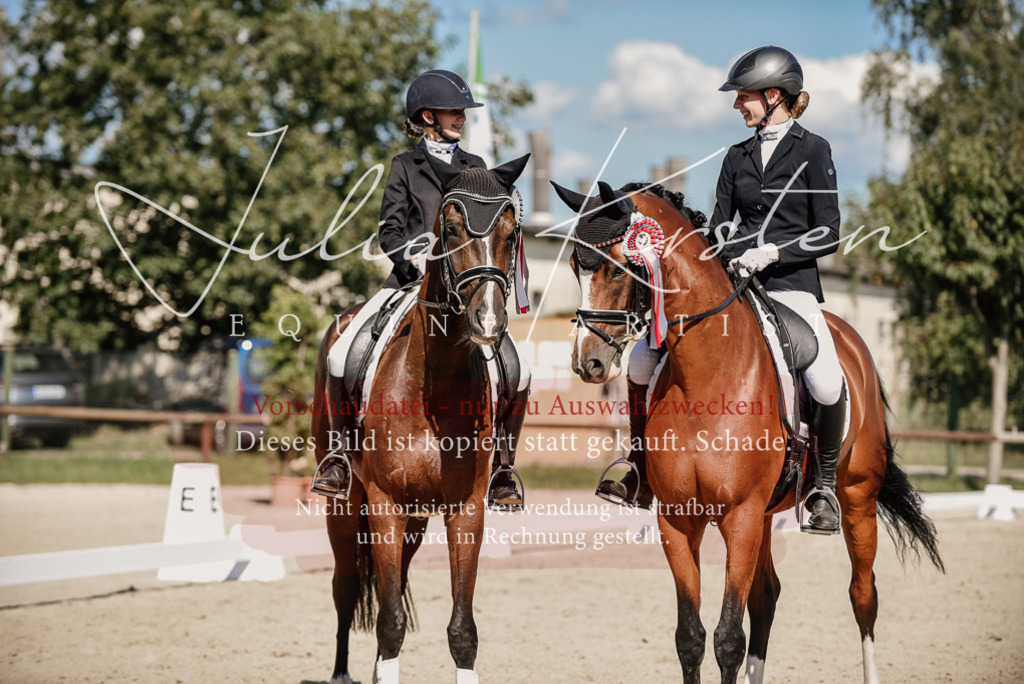DSC_9794 | Pferde- und Turnierfotografie in Westsachsen. Pferdeportraits, Auftragszeichnungen und intuitive Kunst.
